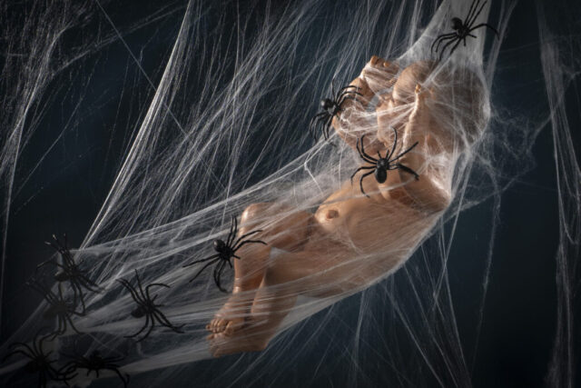 Jaarlijks terugkerende opdracht bij de fotoclub is 'De rode draad' waarbij alle leden beurtelings exact hetzelfde voorwerp ter beschikking krijgen gedurende één week. Taak is om in die week geheel naar eigen idee een foto te maken met dat onderwerp.