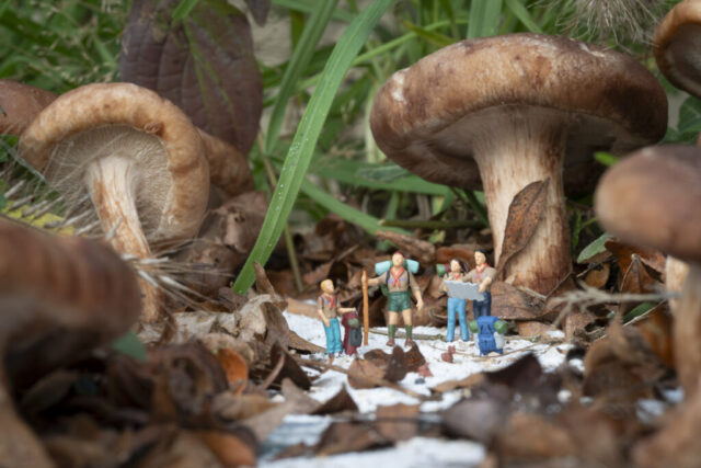 Lootjes trekken: Je krijgt een naam en een door diegene gekozen regel uit een songtekst. Denk out-of-the box en laat je inspireren tot een mooie cadeau-foto.